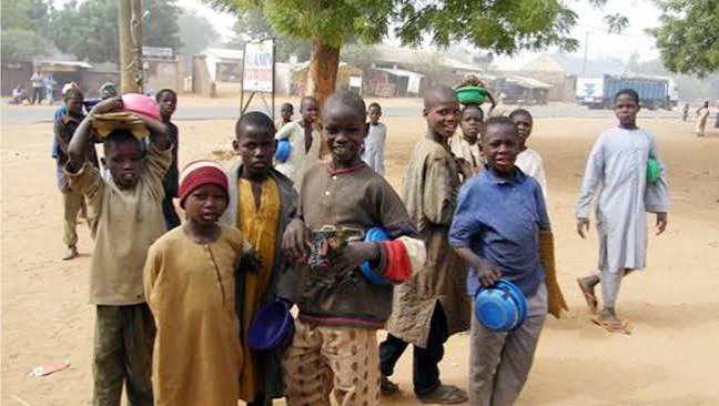 Four Almajiri Students Die in Kano, One Battles for Life as Police Launch Probe